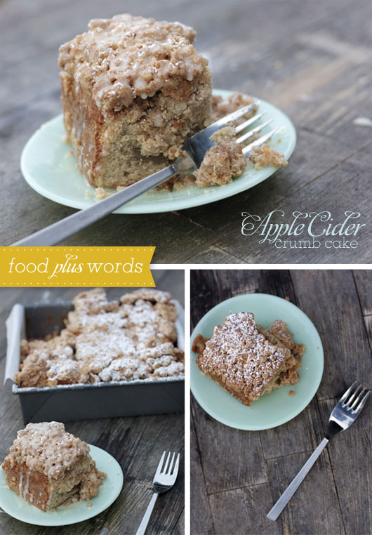 apple cider crumb cake recipe