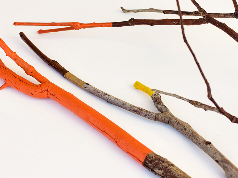 painted-twigs-3
