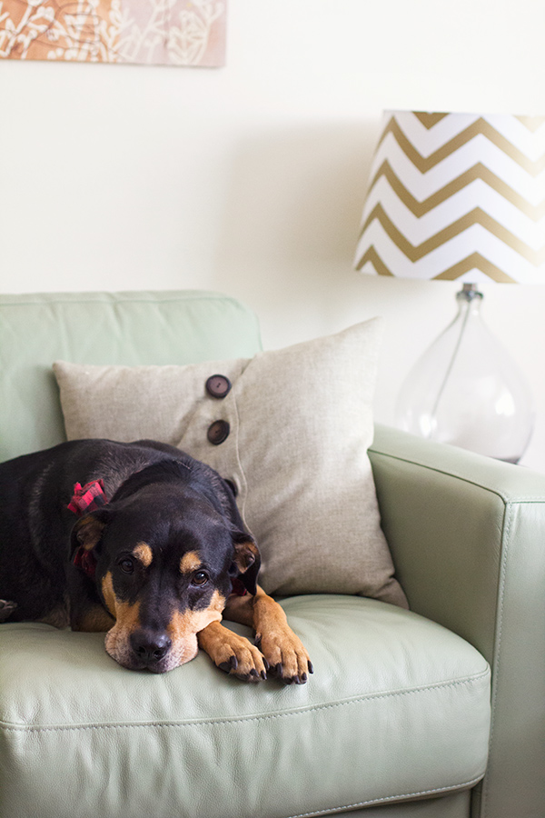 My experience with Vivint's Home Security and Automation System from Sarah Hearts My experience with Vivint's Home Security and Automation System from Sarah Hearts
