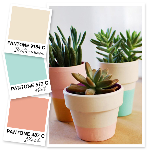 Cream, Mint and Blush Color Palette Sarah Hearts