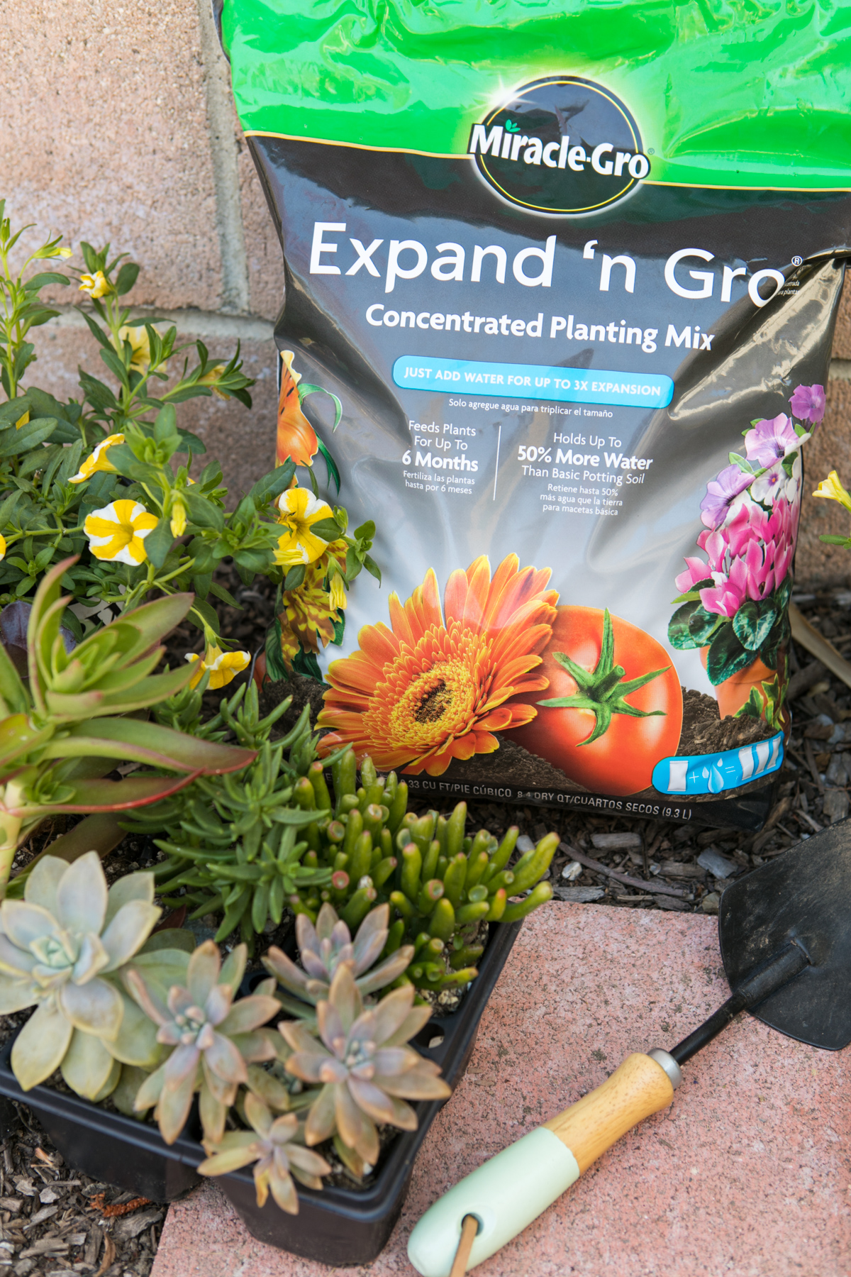 Grab a bag of potting soil on Amazon Prime and add some greenery to your home!