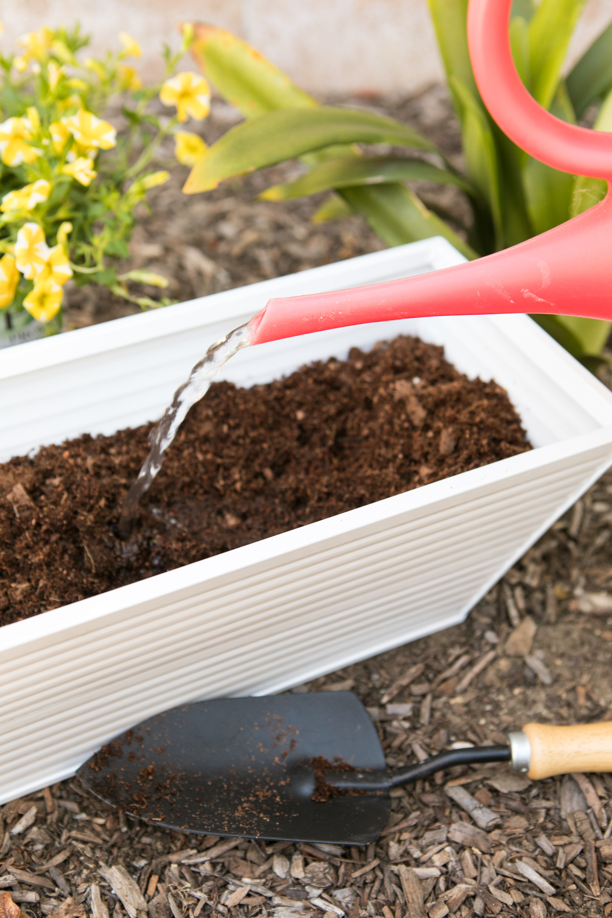 Learn how to make your own modern house number wall planter! It's a great way to spruce up a rental home!