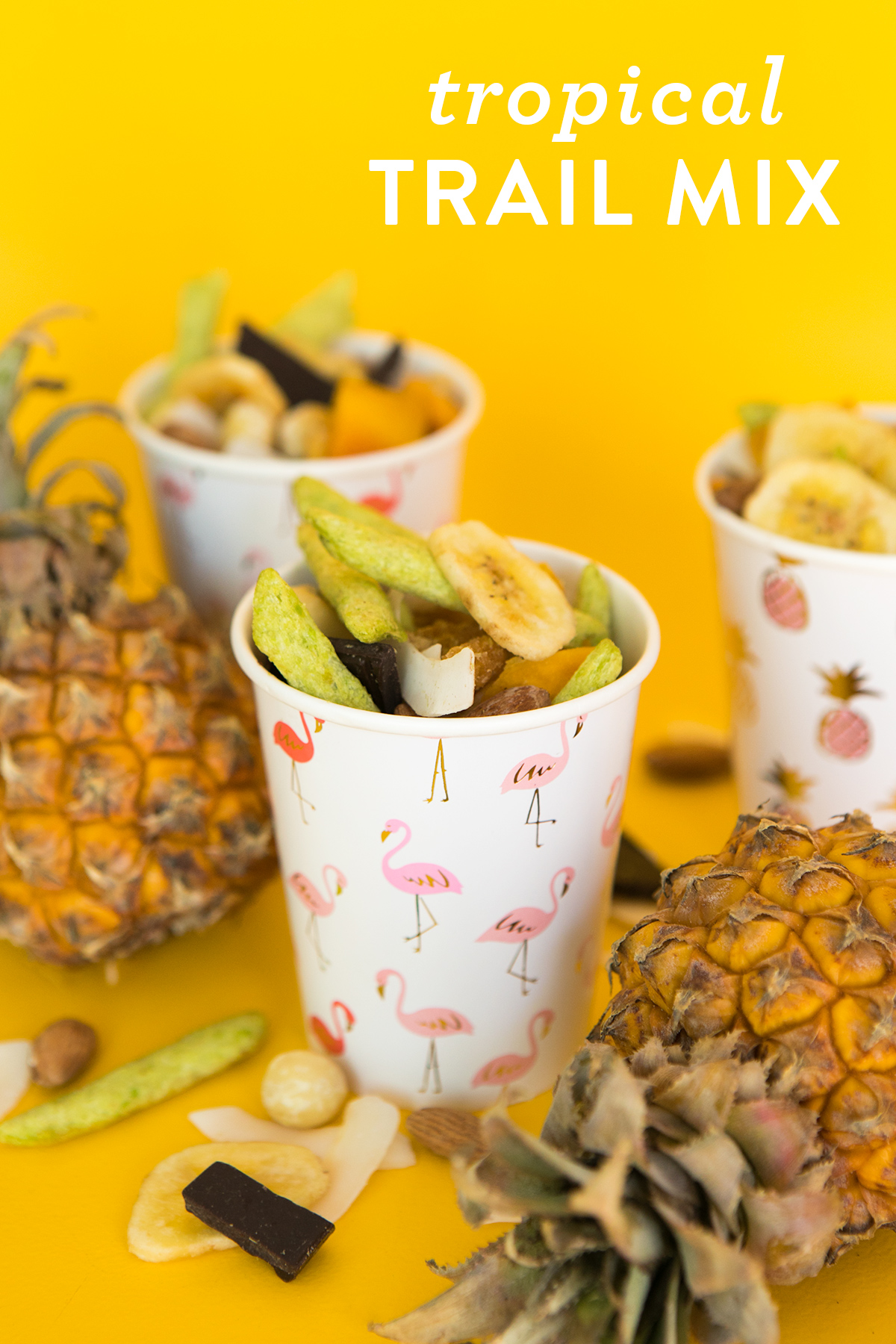 Homemade Tropical Trail Mix Recipe Sarah Hearts