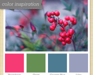 Pink, Red, Blue, and Jade Color Palette - Sarah Hearts