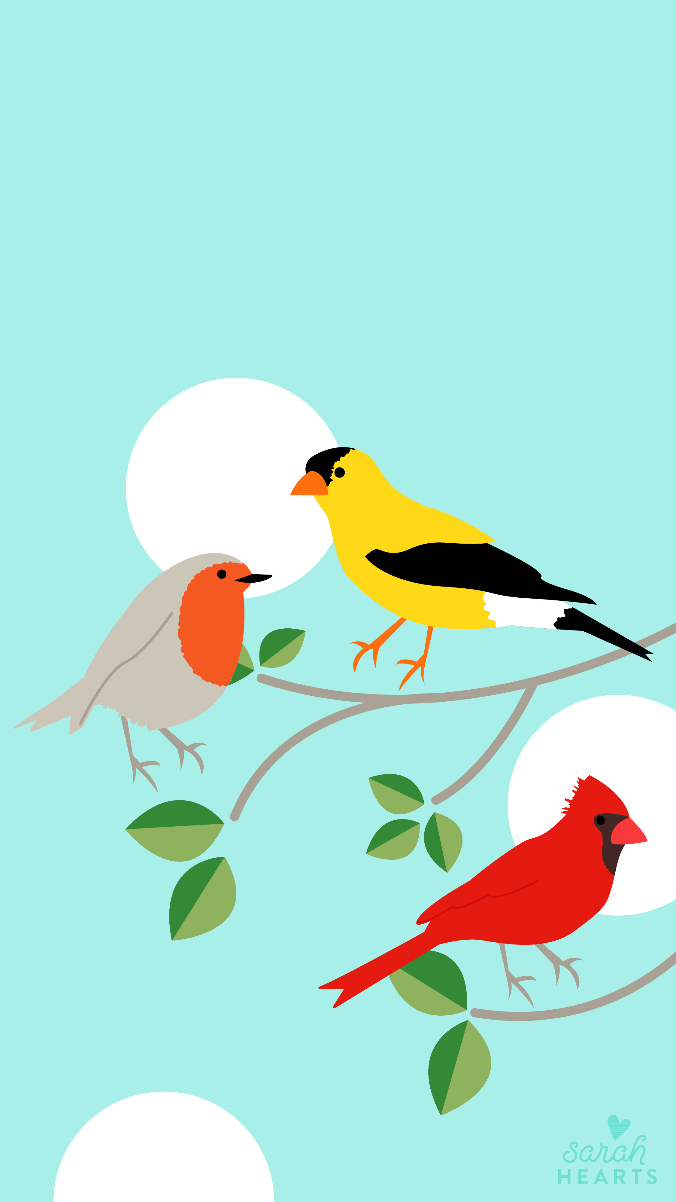 Sweet Winter Bird Wallpaper for iPhone 6 Plus